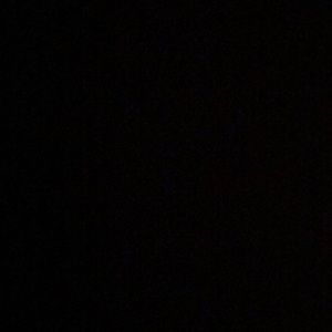 Meet your Posher, Sophie